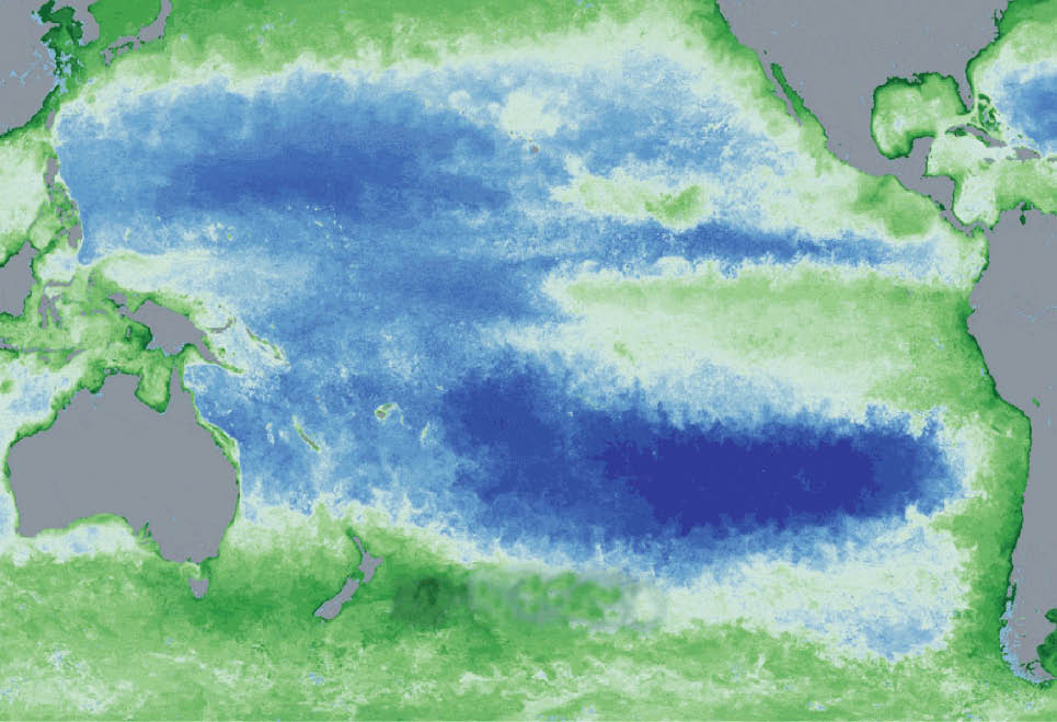 El NiÑo/La NiÑa and The Indian Monsoon